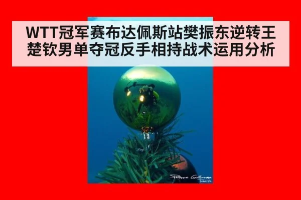 WTT冠军赛布达佩斯站樊振东逆转王楚钦男单夺冠反手相持战术运用分析