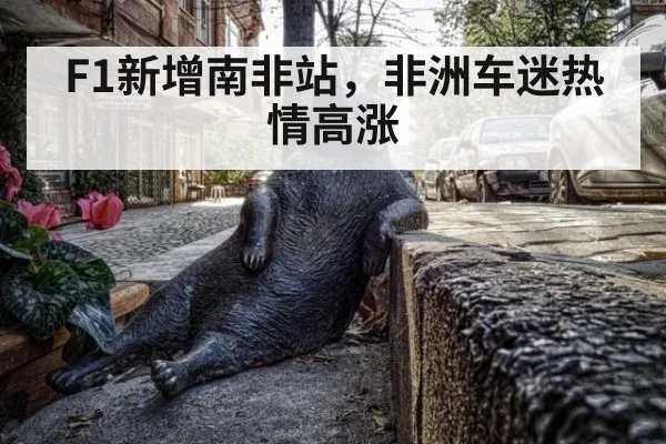F1新增南非站,非洲车迷热情高涨