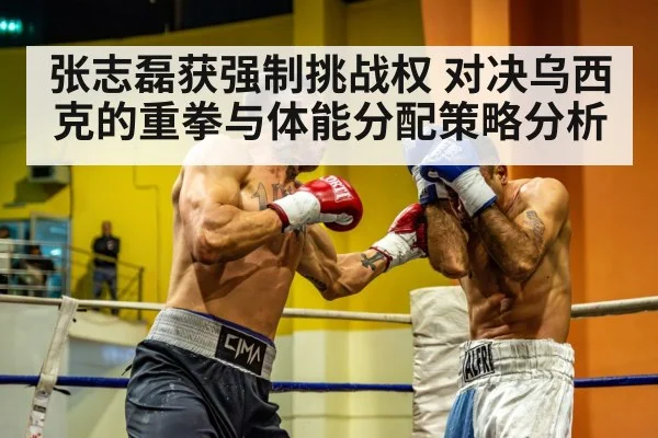 张志磊获强制挑战权 对决乌西克的重拳与体能分配策略分析