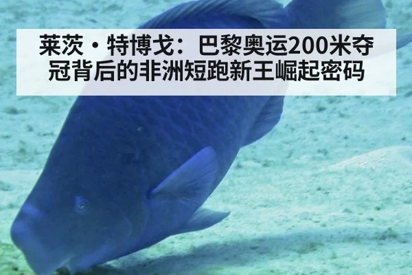 莱茨·特博戈：巴黎奥运200米夺冠背后的非洲短跑新王崛起密码